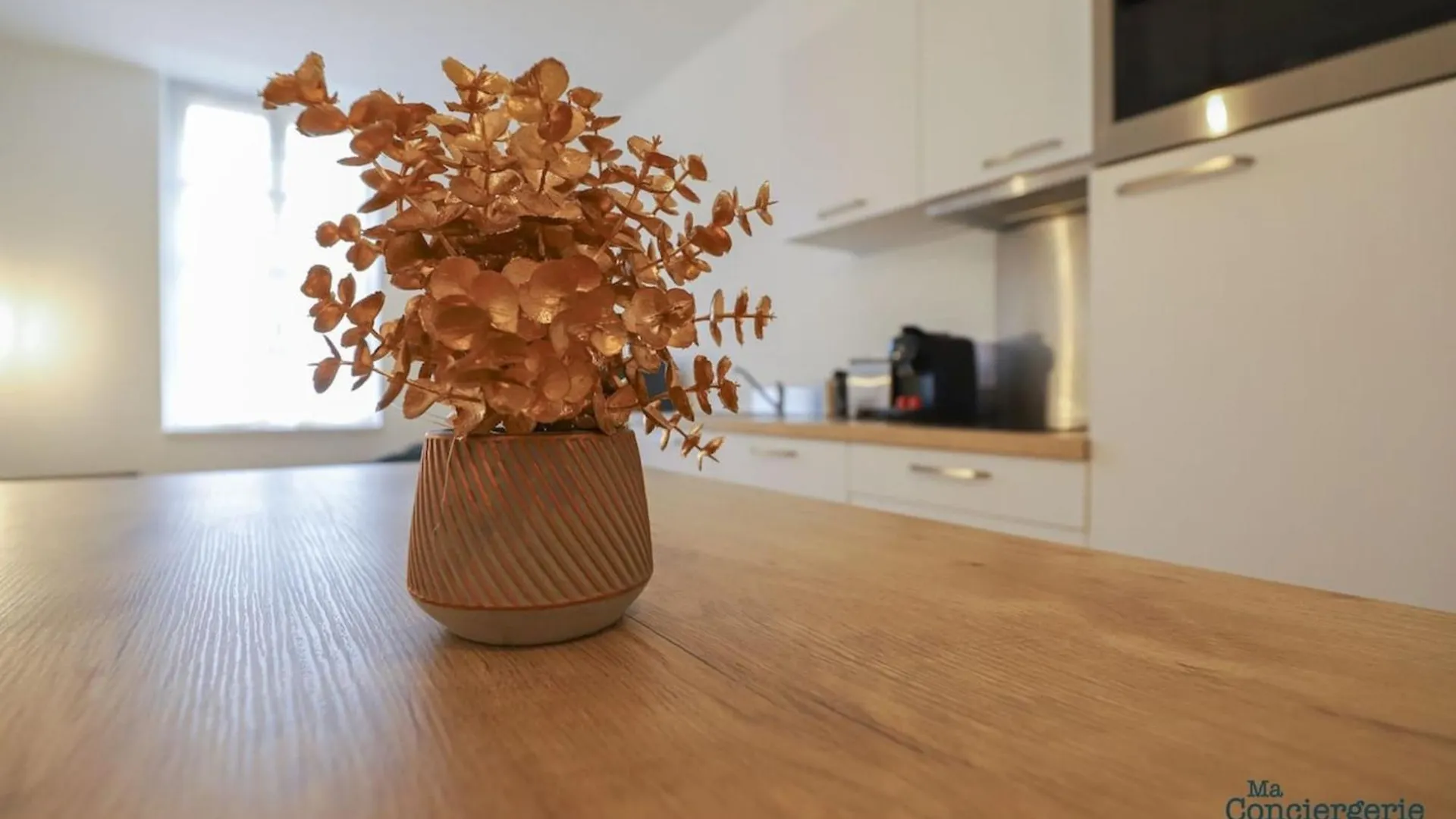 Apartment Ferienwohnung Dv6 La Vie En Rose - Metro - Gare Jean-Jaures Toulouse